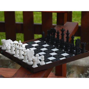 Blind chess- Cờ Vua Cho Người Khiếm Thị