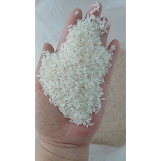 Gạo Tài Nguyên Chợ Đào Bao 25Kg - Nở Xốp Ngon Cơm