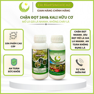 Chặn đọt 24h và Kali hữu cơ, chặn đọt, mở lá già lá nhanh cho sầu riêng