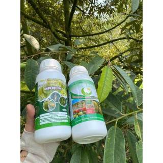 Chặn đọt 24h và Kali hữu cơ, chặn đọt, mở lá già lá nhanh cho sầu riêng