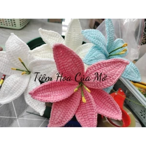 Hoa Ly Len Handmade