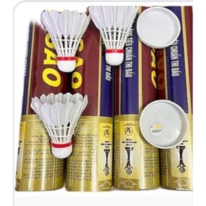 10 quả cầu lông 3 sao