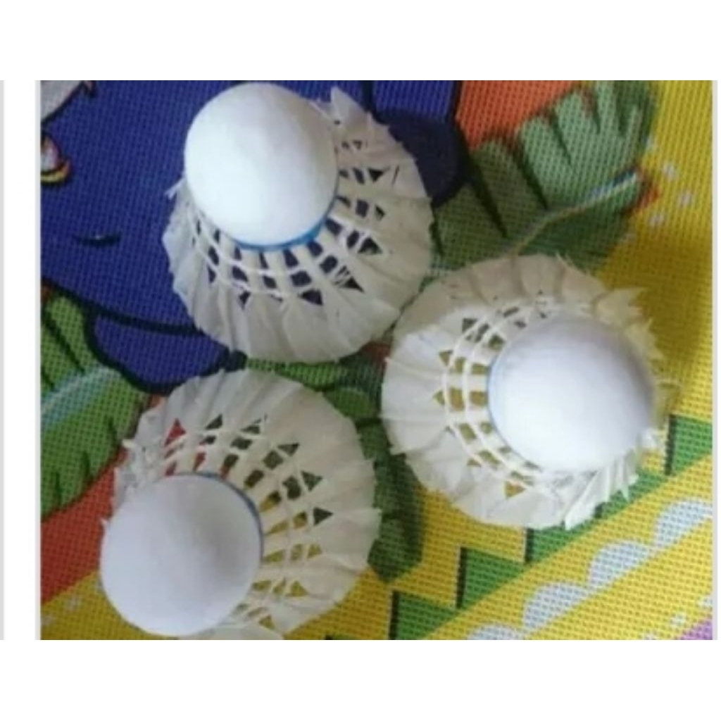 10 quả cầu lông 3 sao