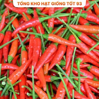 Hạt giống Ớt chỉ thiên 0,1gram năng suất hàng công ty Loại 1