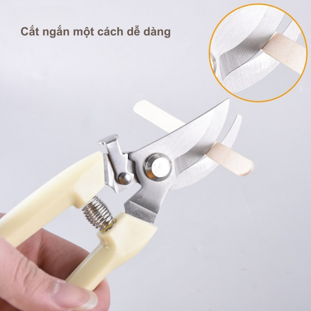TIDY SHOP - Kéo Cắt Tỉa Cây Cảnh Mini, Kéo Cắt Cành Cây Làm Vườn, Kéo Tỉa Bonsai, Kéo Cắt Hoa Lá Sắc Bén