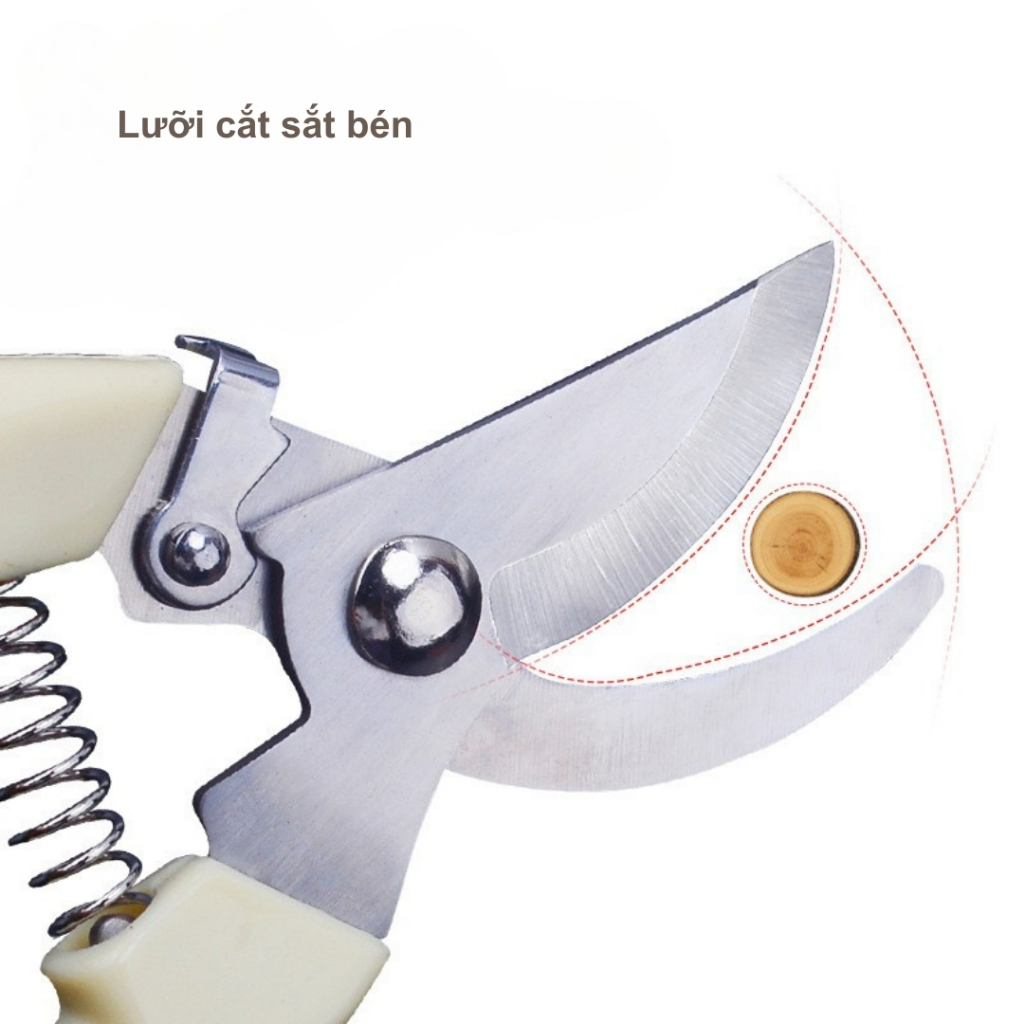 TIDY SHOP - Kéo Cắt Tỉa Cây Cảnh Mini, Kéo Cắt Cành Cây Làm Vườn, Kéo Tỉa Bonsai, Kéo Cắt Hoa Lá Sắc Bén