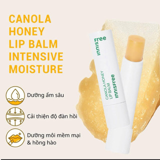 Son Dưỡng Môi Mật Ong INNISFREE Canola Honey Lip Balm