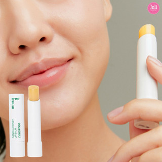 Son Dưỡng Môi Mật Ong INNISFREE Canola Honey Lip Balm