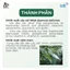 Sản phẩm hỗ trợ sức khỏe hệ tiết niệu cho thú cưng Urajiron Nhật Bản hỗ trợ tuần hoàn & bảo vệ thận