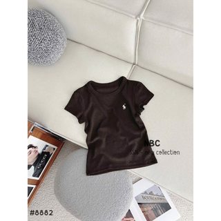 Áo phông thêu ngựa cổ tròn viền thêu ngựa