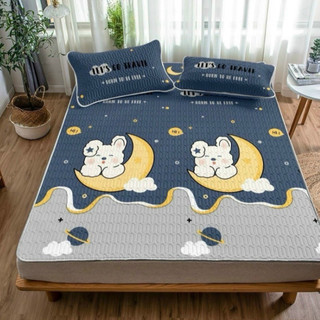 💦NẰM MÁT LẠNH 💦 Bộ Chiếu Điều Hòa Cao Su Non 3 Món (1 Chiếu + 2 Vỏ Gối) Hàng Nhập Loại 1_Chăn Ga Sỉ