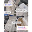 Balo Nữ Thời Trang Họa Tiết Chấm Bi BL529