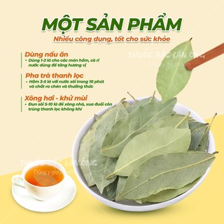 10 lá bay leaf, lá nguyệt quế chọn lựa lá đẹp, hàng nguyên lá - Lãn Ông