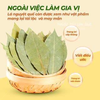 10 lá bay leaf, lá nguyệt quế chọn lựa lá đẹp, hàng nguyên lá - Lãn Ông