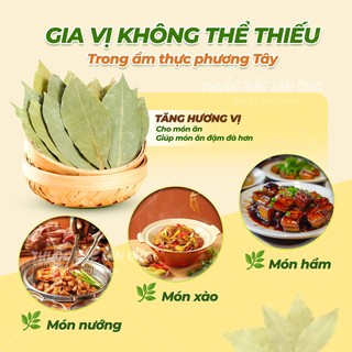 10 lá bay leaf, lá nguyệt quế chọn lựa lá đẹp, hàng nguyên lá - Lãn Ông