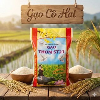 Gạo Đặc Sản ST21 Thượng Hạng 10Kg - Cơm Dẻo Thơm - Ngọt Cơm