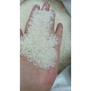 Gạo Đặc Sản ST21 Thượng Hạng 10Kg - Cơm Dẻo Thơm - Ngọt Cơm