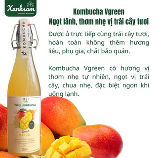 [HỎA TỐC] VKombucha Chill Trà Bất Tử Vgreen 250ml/ 500ml - Xanhsam Natural & Organic