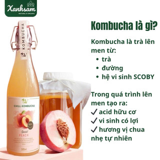 [HỎA TỐC] VKombucha Chill Trà Bất Tử Vgreen 250ml/ 500ml - Xanhsam Natural & Organic