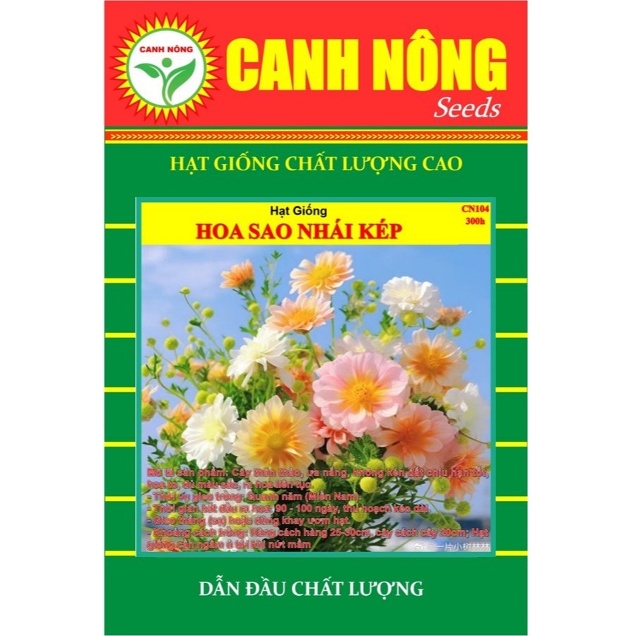 Hạt giống Hoa Sao Nhái Kép Nhiều Màu (5g, 200-300 hạt) dễ nảy mầm, trồng quanh năm