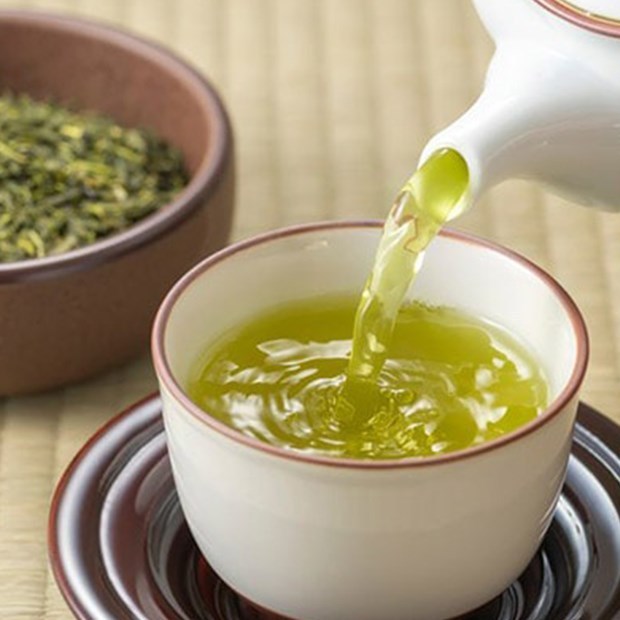 Lục Trà Túi Lọc LONG PHÚ gói 200gr Hương Trà Thơm - Nguyên Liệu Trà Sữa, Trà Trái Cây, Trà Túi Lọc, Lục Trà, Nước Trà