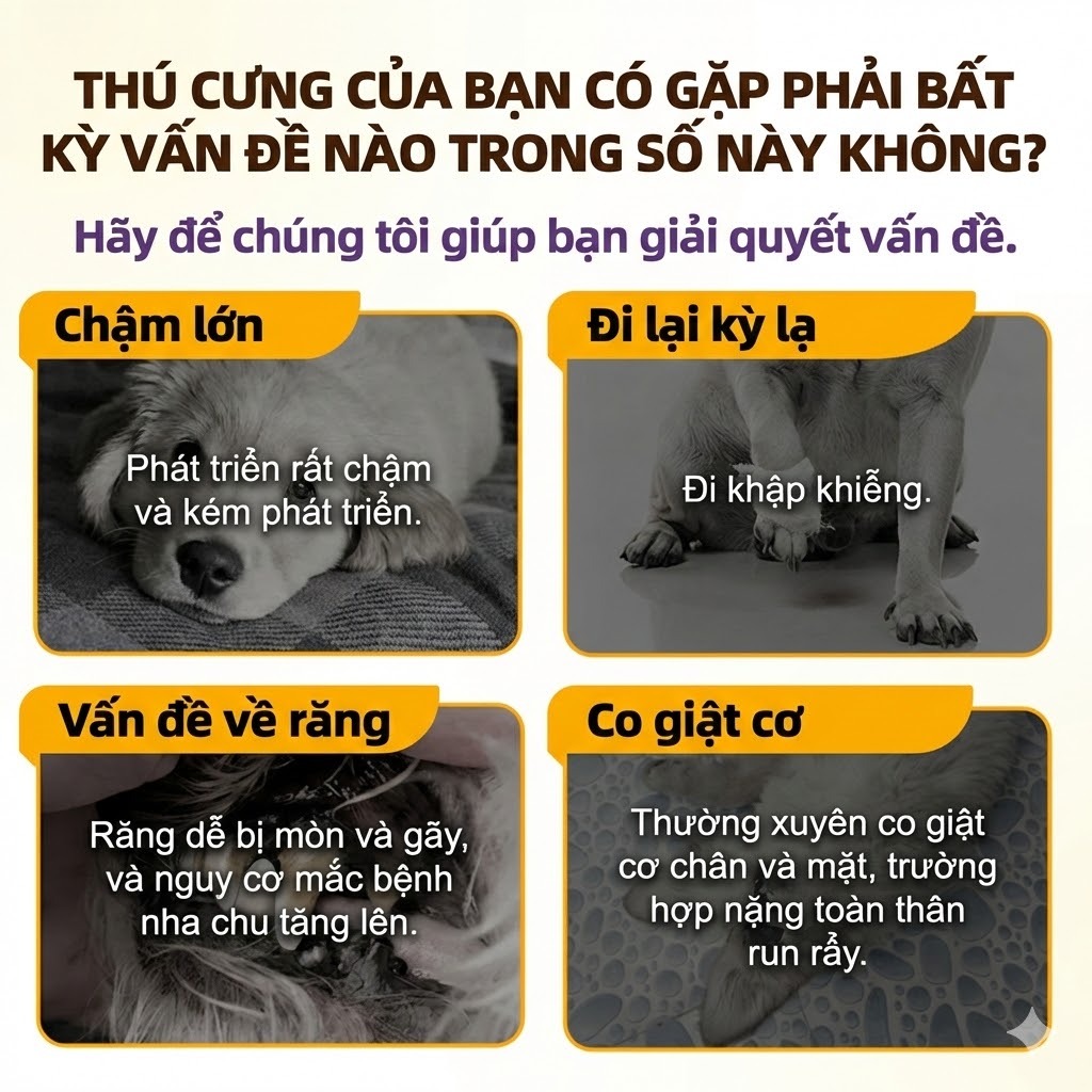 CASSIEL PET Viên Uốngbổ Sung-Men Vi Sinh Vitamin Tổng Hợp Canxi Cho Khớp Tiêu Hóa Lông Và Da Cho Chó Và Mèo