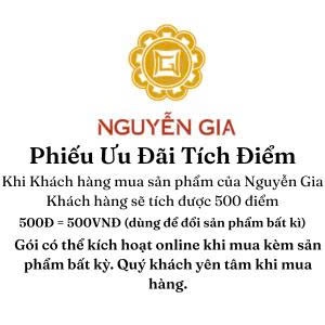 Phiếu Ưu Đãi Tích Điểm tự động online  Khi Khách hàng  hàng ONLINE (Không gửi kèm đơn hàng)