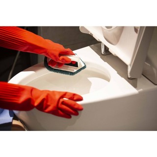 Dụng Cụ Cọ Rửa Có Tay Cầm Đầu Nhọn - Chính Hãng Poly-Brite - Giao Màu Ngẫu Nhiên