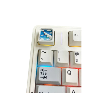 Keycap 3D Cửa Số Máy Bay, Cá Voi, bọ rùa, sa mạc, bãi biển cho bàn phím cơ - Keycap Artisan