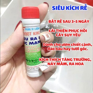 [ Set 3 chai ] Siêu Kích rễ RootKing  [CHÍNH HÃNG]  lọ 20ml hàng đẹp, chuyên giâm chiêt cành.