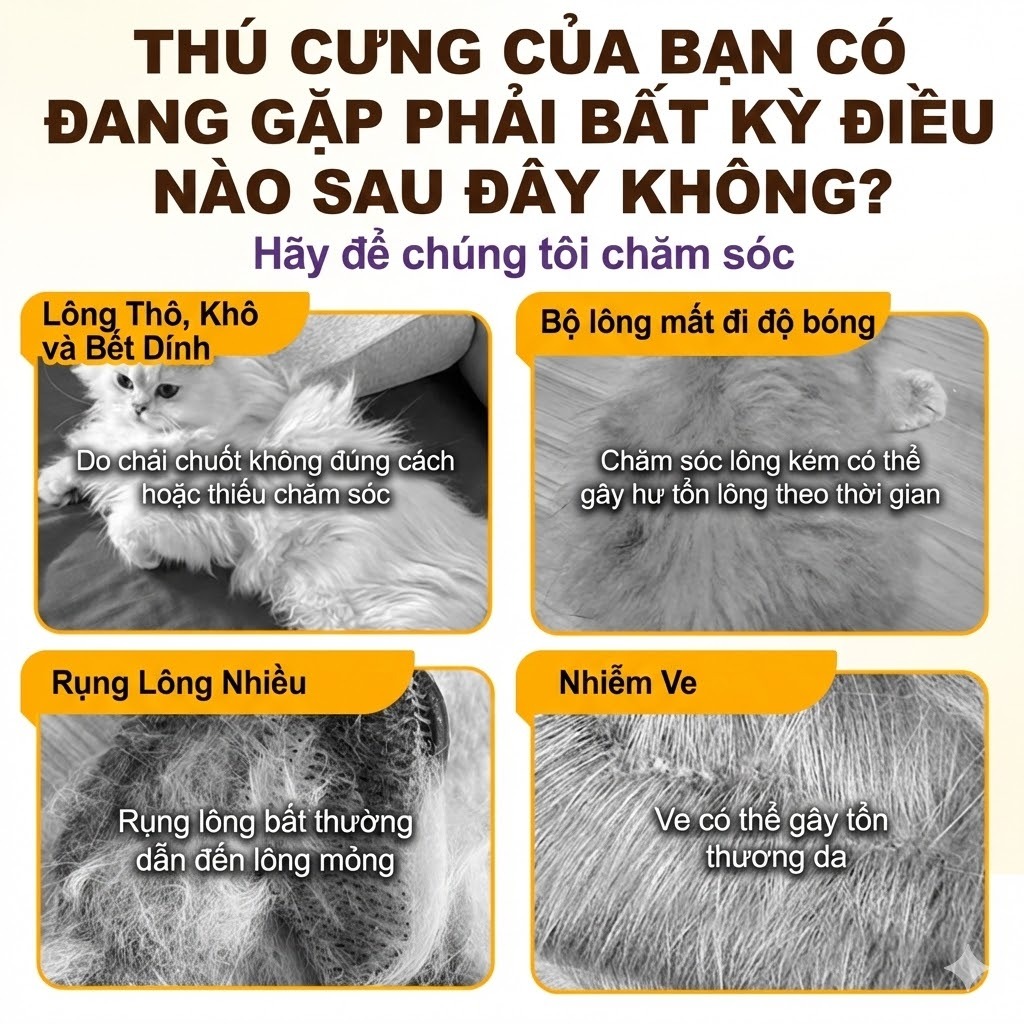 Cassiel Pet Dầu Gội & Sữa Tắm 2 Trong 1 Cho Chó Mèo Hữu Ích Trong Việc Làm Sạch Sâu Ngăn Ngừa Ngứa Khử Mùi Hôi Và Dưỡng
