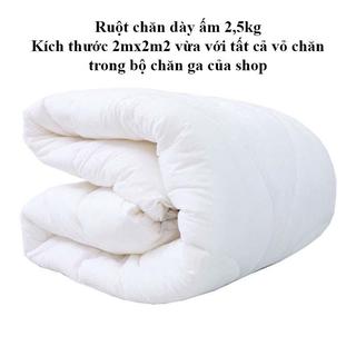 Ruột chăn cao cấp M2T bedding ruột chăn kích thước 2m x 2m2 nặng 2.5kg bông sơ trắng