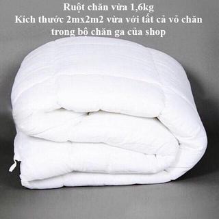 Ruột chăn cao cấp M2T bedding ruột chăn kích thước 2m x 2m2 nặng 2.5kg bông sơ trắng
