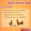 Siêu Kích Ăn AMINOPLEX PRO X2 - Cung Câp Vitamin Cho Gà Từ Gà Con Đến Gà Lớn, Nở Khung, Ra Lông, Đầy Tay