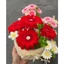 Chậu hoa đồng tiền kẽm nhung