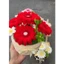 Chậu hoa đồng tiền kẽm nhung