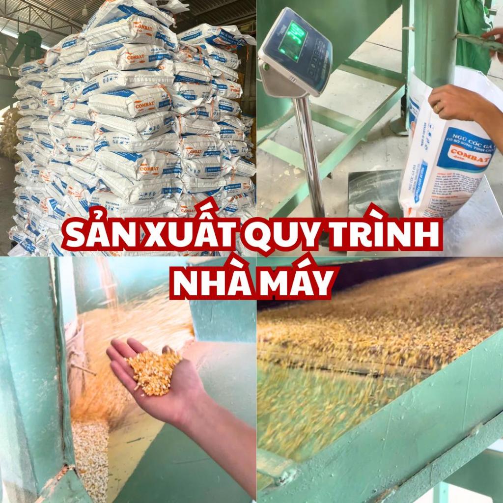 10kg Ngũ Cốc COMBAT Gold 13 loại hạt - Ngũ Cốc Cho Gà Hàng Cao Cấp Loại 1, Đầy Đủ Dinh Dưỡng