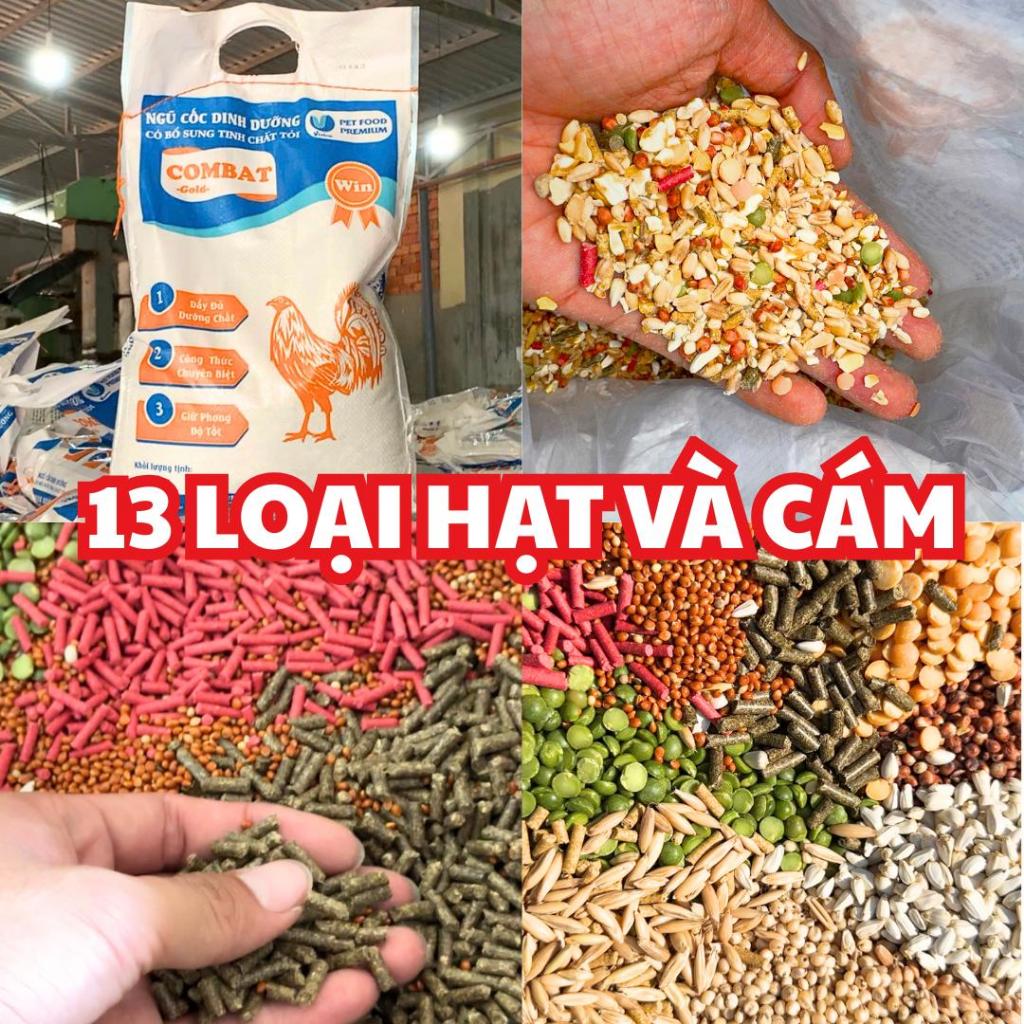 10kg Ngũ Cốc COMBAT Gold 13 loại hạt - Ngũ Cốc Cho Gà Hàng Cao Cấp Loại 1, Đầy Đủ Dinh Dưỡng