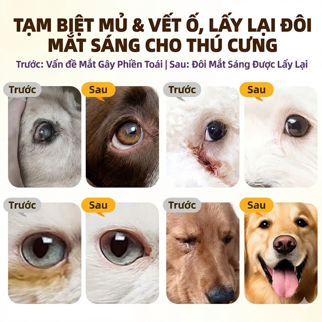 Cassiel Pet Nước Nhỏ Mắt Mắt Dành Cho Chó Và Mèo Trợ Viêm Kết Mạc Dỏ Mắt Sưng Dỏ Hỗ Trợ Giảm Chảy Mắt Loại Bỏ Rỉ Mắt