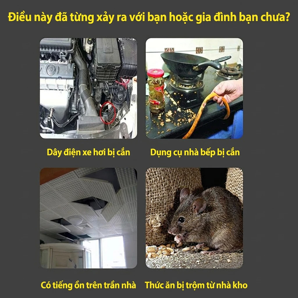 🐭10.000 năm không còn chuột🐭Viên đuổi chuột thuốc đuổi chuột viên đuổi chuột siêu mạnh đuổi chuột trong nhà