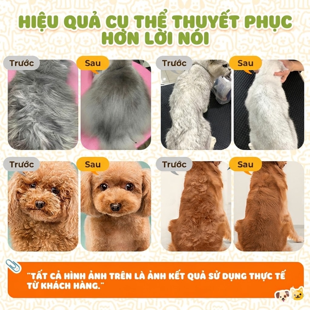 Cassiel Pet Cá Fish Oil Bổ Sung Omega 3 Tăng Sức Đề Kháng Giảm Rụng & Mượt Lông Mèo Cho Chó