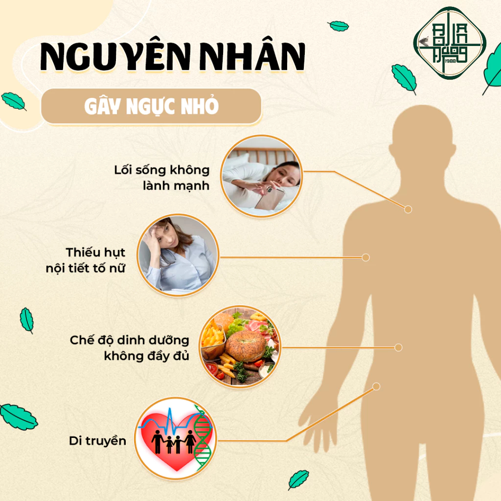 [Có Che Tên] Trà Tăng Vòng 1 - Bội Lan Đường - Mầm Đậu Nành, Sâm Tố Nữ, Làm Đẹp Săn Chắc - 50 lọc