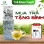 Trà Shan Tuyết Cổ Thụ Bách Trà | Trà Cao Cấp 1 Tôm 2 Lá | Thơm nhẹ , Ngọt Hậu | Pha 3 lần nước | Gói 200g