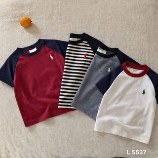COMBO 4 ÁO THUN CỘC TAY BÉ TRAI GÁI