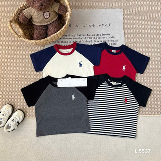 COMBO 4 ÁO THUN CỘC TAY BÉ TRAI GÁI