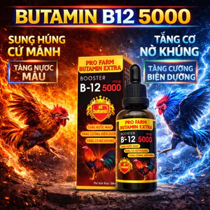 Butamin B12 5000 nuôi gà tơ lên gà chế độ nhanh sung cự, tăng nở khung xương, phát triển cơ bắp, hừng gà cự mạnh (50ml)