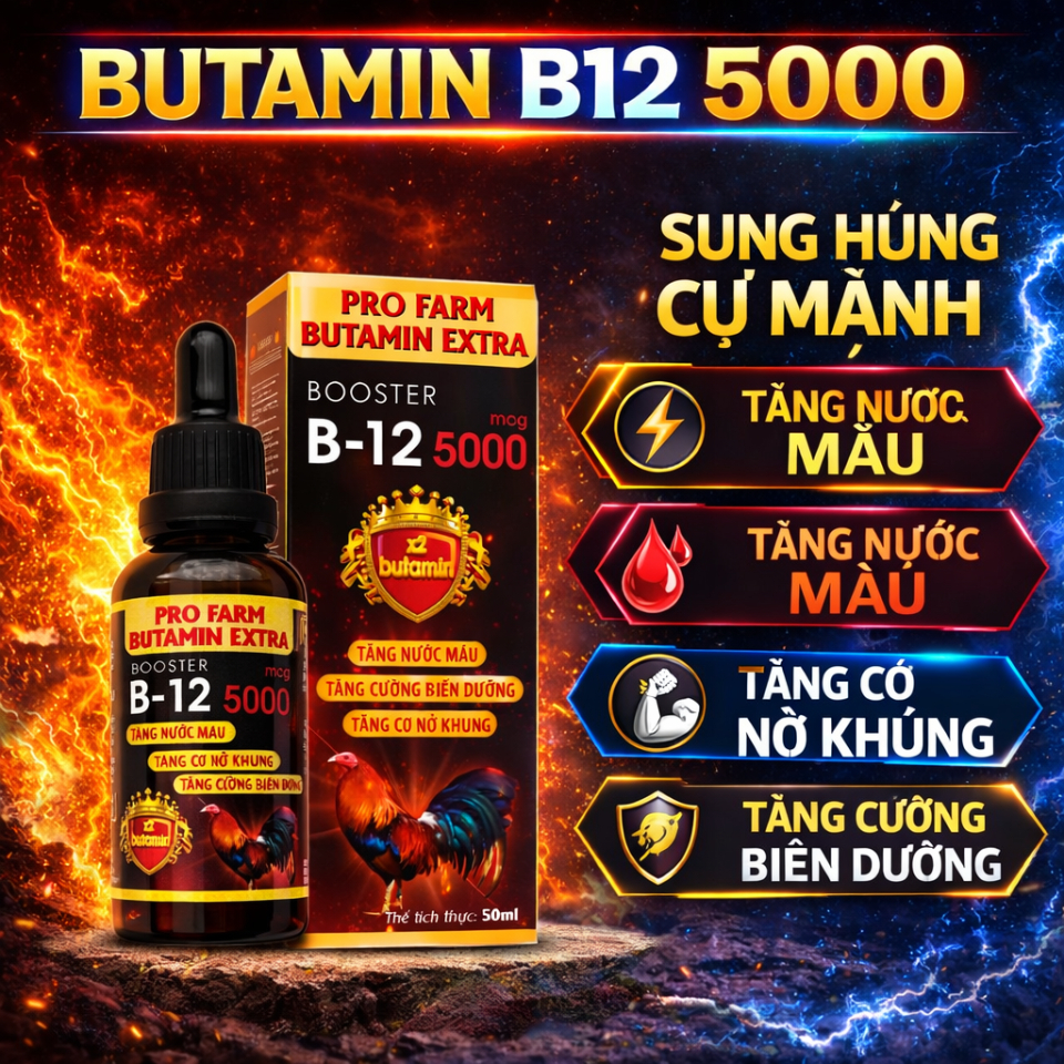 Butamin B12 5000 nuôi gà tơ lên gà chế độ nhanh sung cự, tăng nở khung xương, phát triển cơ bắp, hừng gà cự mạnh (50ml)