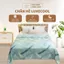 Chăn hè chần bông cao cấp LuxeCool Lasante mát lạnh, mềm mại, kháng khuẩn kích thước 2mx2m3