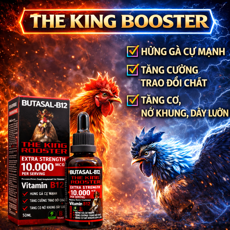 The King 10.000 mcg nuôi gà chế độ tăng bo, tăng nước máu, nở khung dầy lườn, hừng gà cự mạnh (50ml)