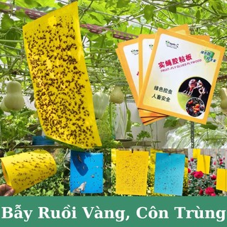Bẫy ruồi vàng,Bẫy côn trùng,2 mặt keo,dạng ,bẫy tất cả côn trùng,Độ dính cao,Dùng cho vườn rau củ quả